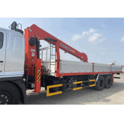 Cẩu tự hành Kanglim KS2056H