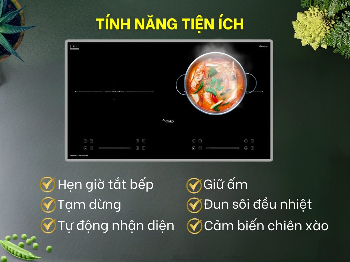 Bếp Từ Canzy CZ-I36912C